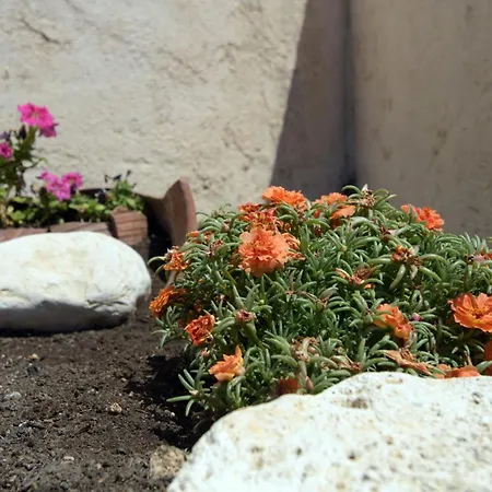 Lejlighed V&d Paleokastritsa