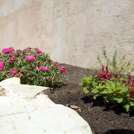 V&d Paleokastritsa * Lákonesz